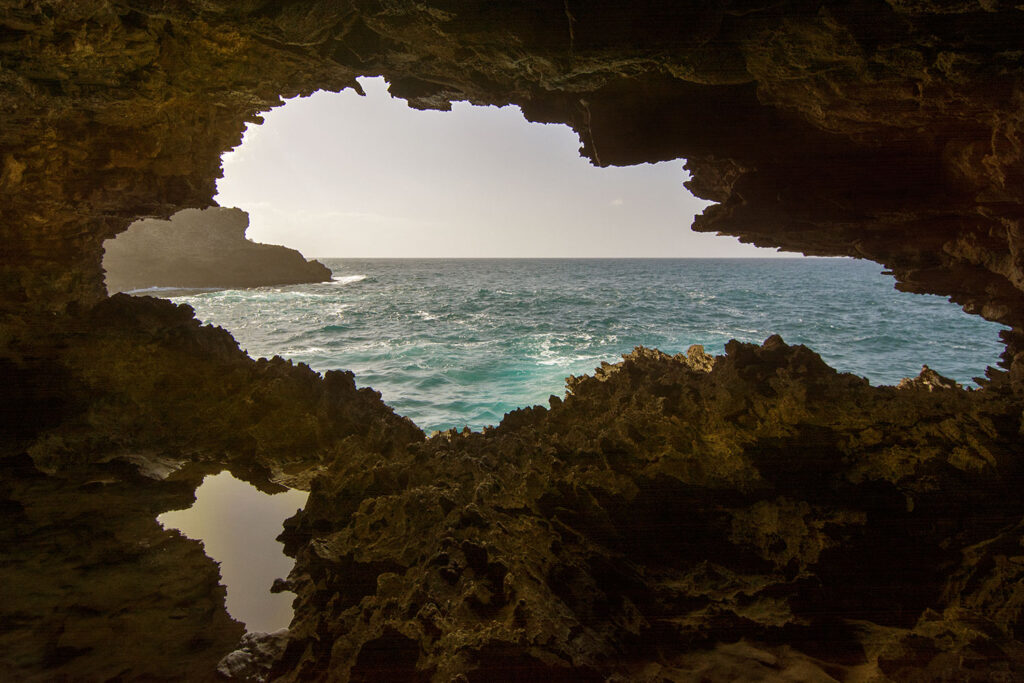 Animal Flower Cave Barbados