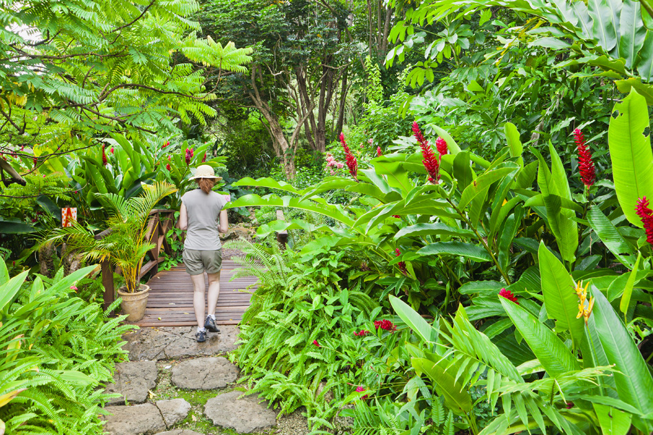 Flower Forest Barbados