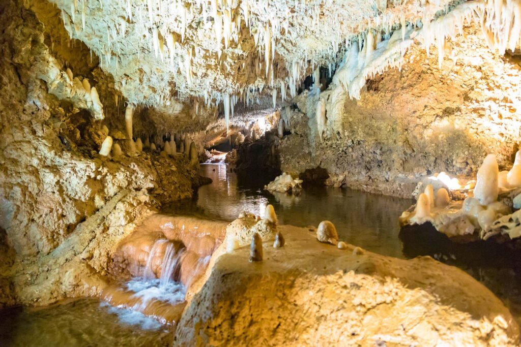 Things to do in Barbados Harrison,s Cave