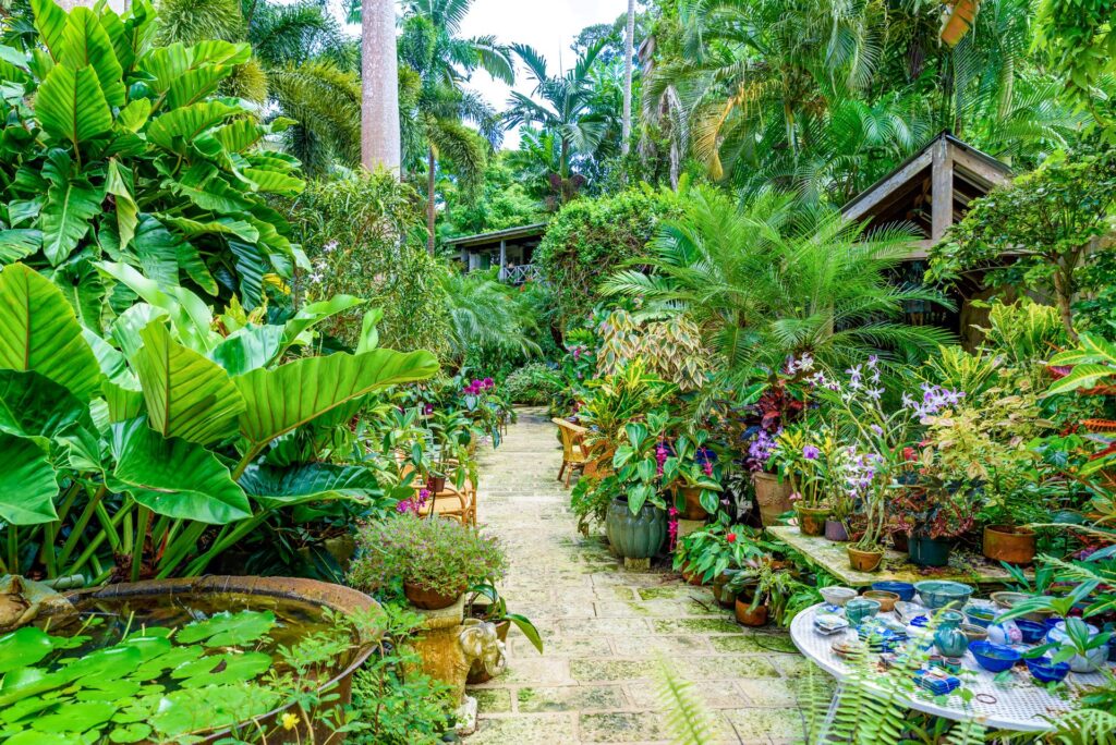 Hunts Garden Barbados