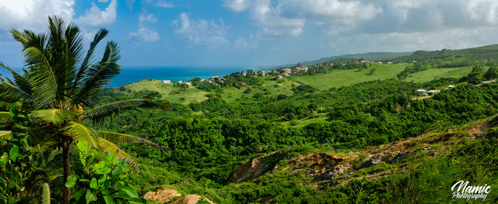 Barbados Landscapes