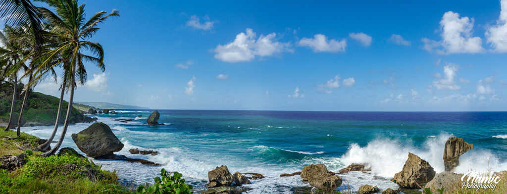 Martin's Bay Barbados Photographers