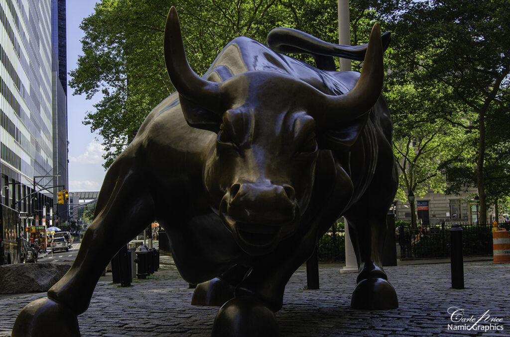 New York City Charging Bull 