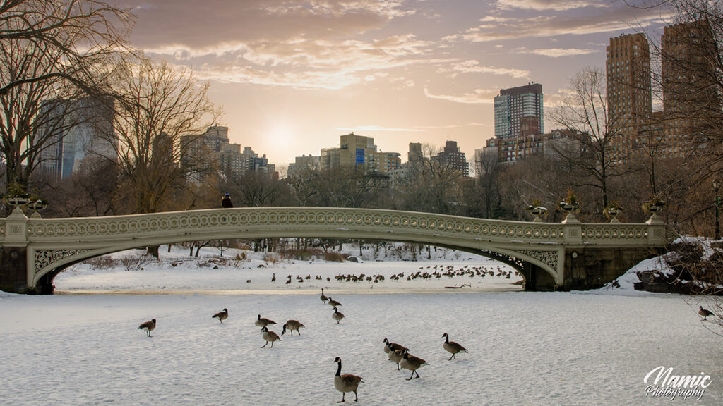 Bow Bridge