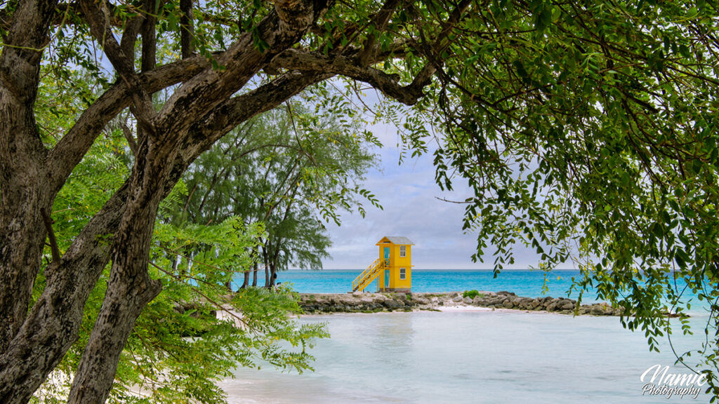 Miami Beach Barbados