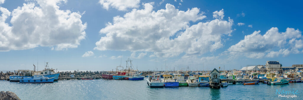 Princess Alice Harbour Bridgetown Barbados